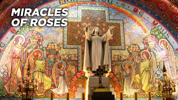 Miracles of Roses