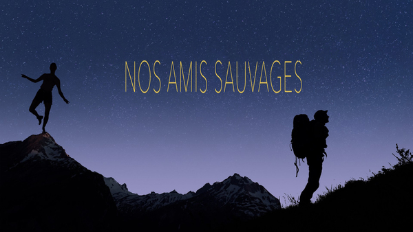 Nos amis sauvages