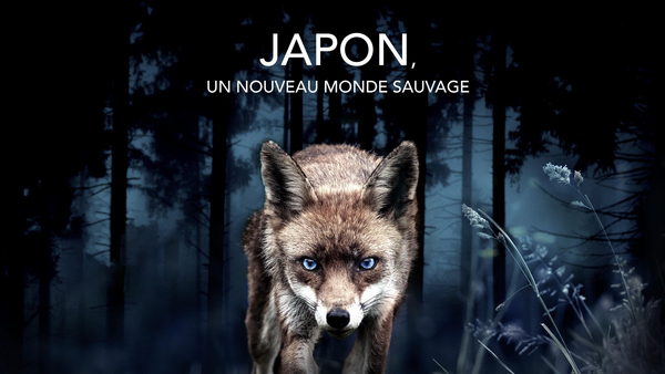 Japon, un nouveau monde sauvage