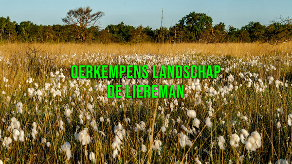 Oerkempens Landschap De Liereman