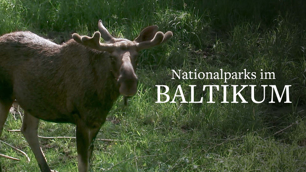 Nationalparks im Baltikum
