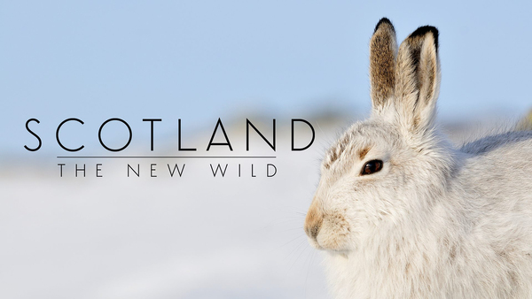 Scotland: The New Wild