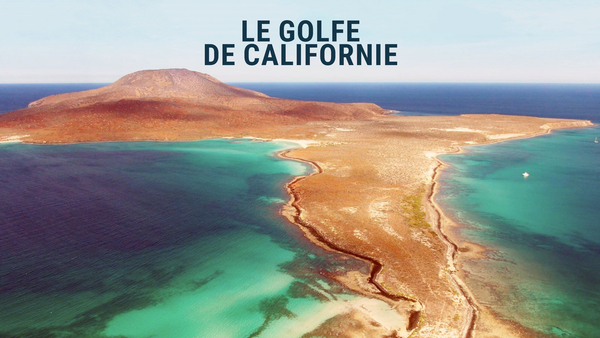 Le golfe de Californie