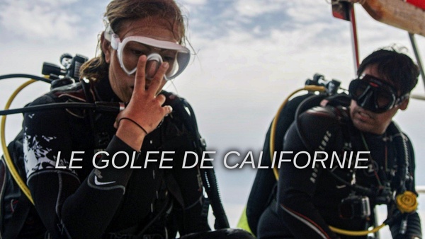 Le golfe de Californie