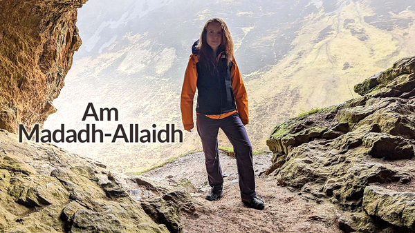 Am Madadh-Allaidh