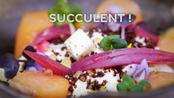 C'est succulent !