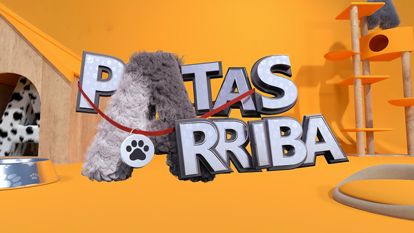 Patas arriba