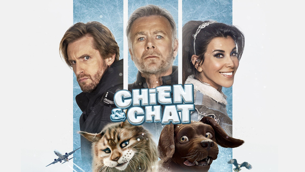 Chien et chat