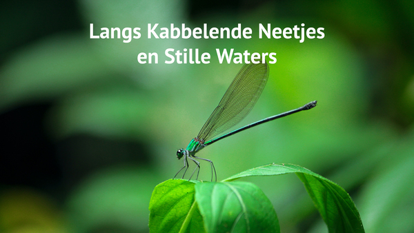 Langs Kabbelende Neetjes en Stille Waters