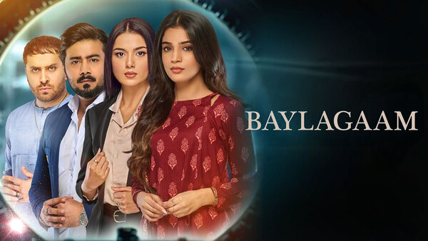 Baylagaam