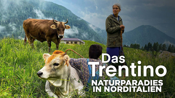 Das Trentino - Naturparadies in Norditalien