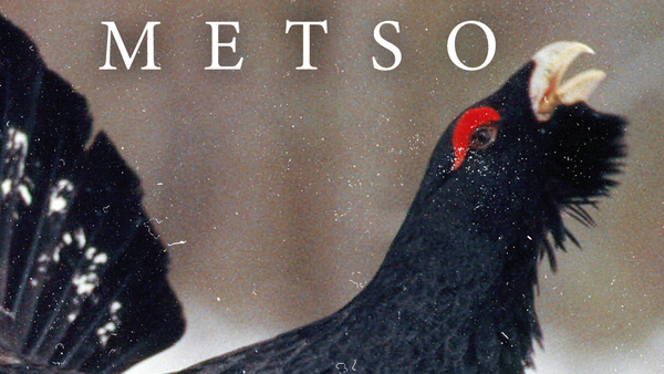 Metso