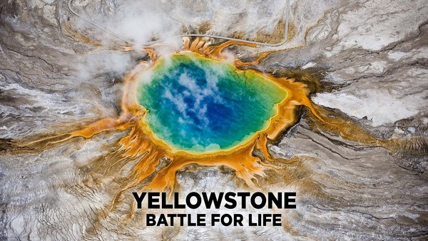 Yellowstone