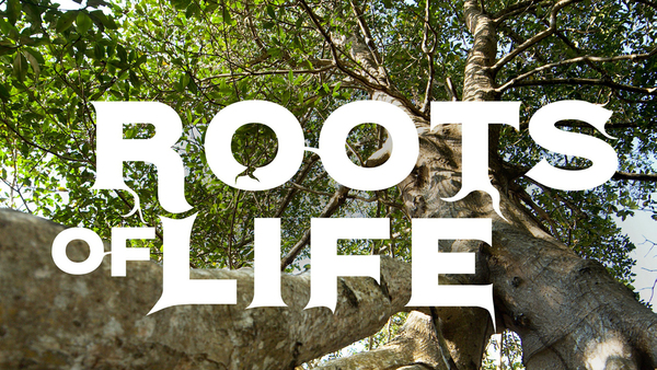 Roots of Life