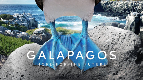 Galapagos: Hope for the Future