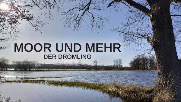 Moor und mehr - Der Drömling