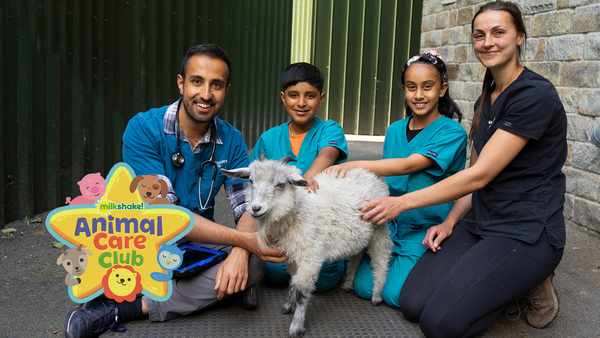 Animal Care Club