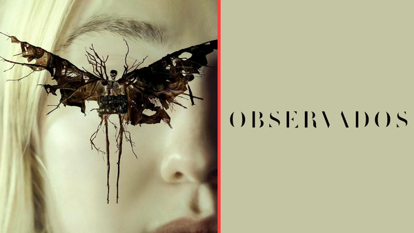 Observados
