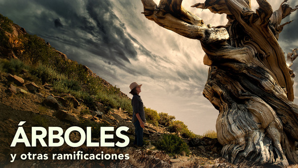 Árboles y otras ramificaciones