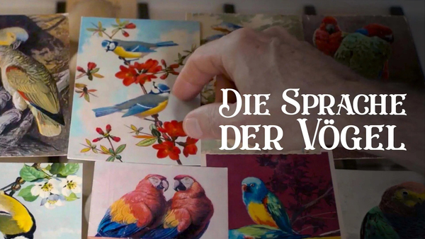 Die Sprache der Vögel