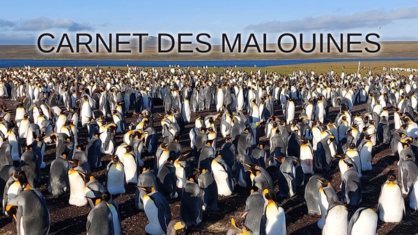 Carnet des Malouines