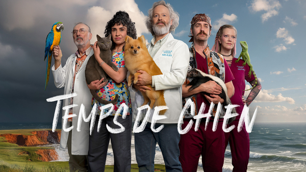 Temps de chien