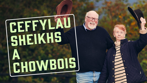 Ceffylau, Sheikhs a Chowbois