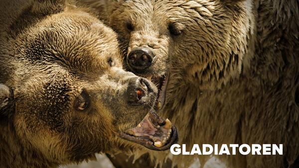 Gladiatoren