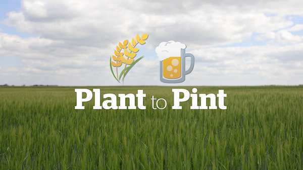 Plant to Pint