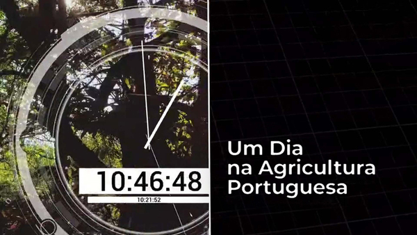 Um Dia na Agricultura Portuguesa