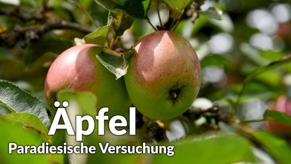 Äpfel - Paradiesische Versuchung