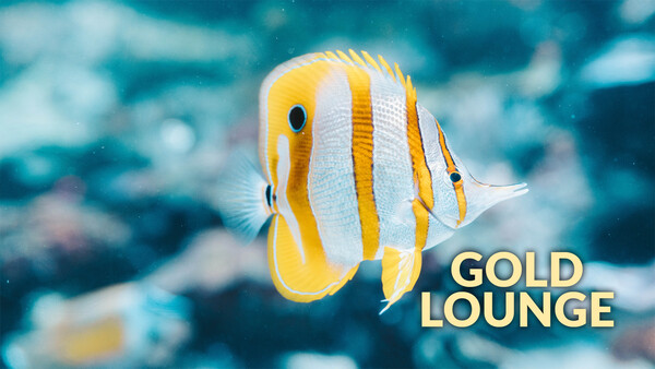 Gold Lounge