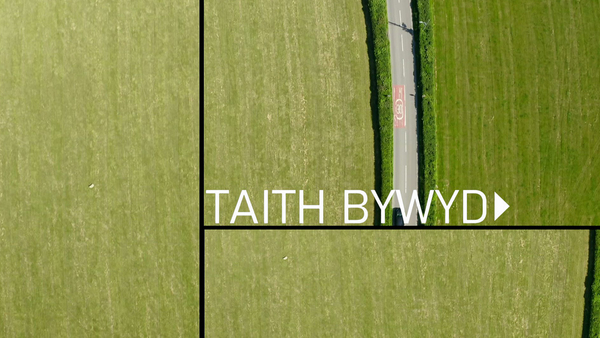 Taith Bywyd