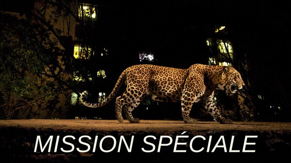 Mission spéciale
