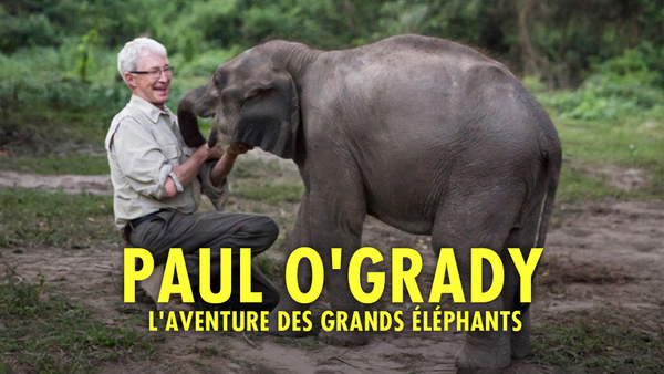 Paul O'Grady : l'aventure des grands éléphants