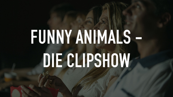 Funny Animals - Die Clipshow