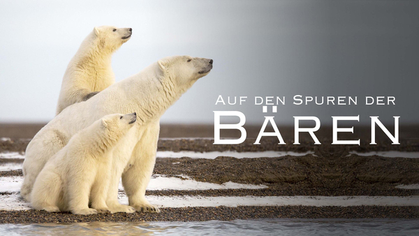 Auf den Spuren der Bären