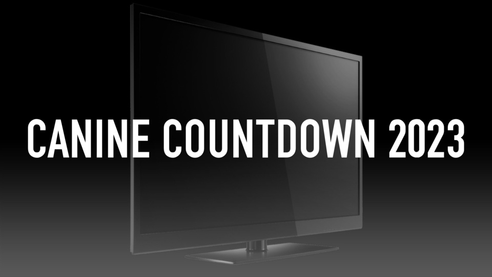 Canine Countdown 2023