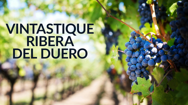 Vintastique Ribera Del Duero
