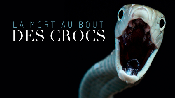La mort au bout des crocs