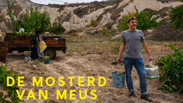 De mosterd van Meus