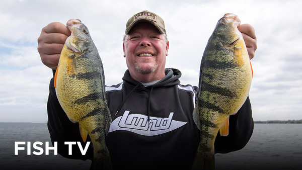 Fish TV