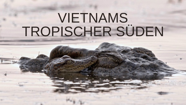 Vietnams tropischer Süden