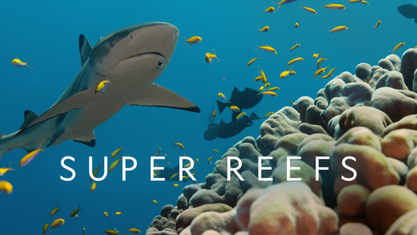 Super Reefs