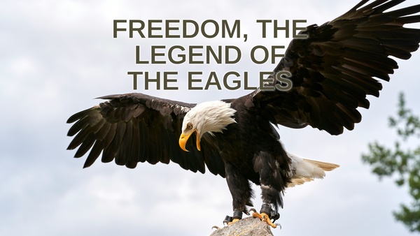 Freedom, the Legend of the Eagles
