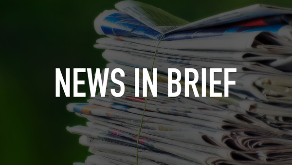 News in Brief