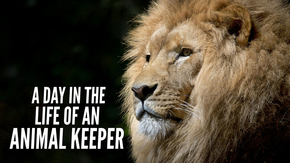 A Day in the Life of an Animal Keeper