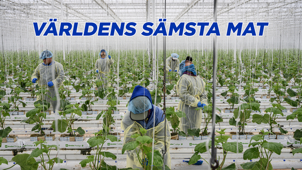 Världens sämsta mat