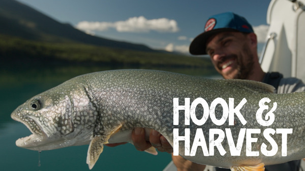 Hook & Harvest