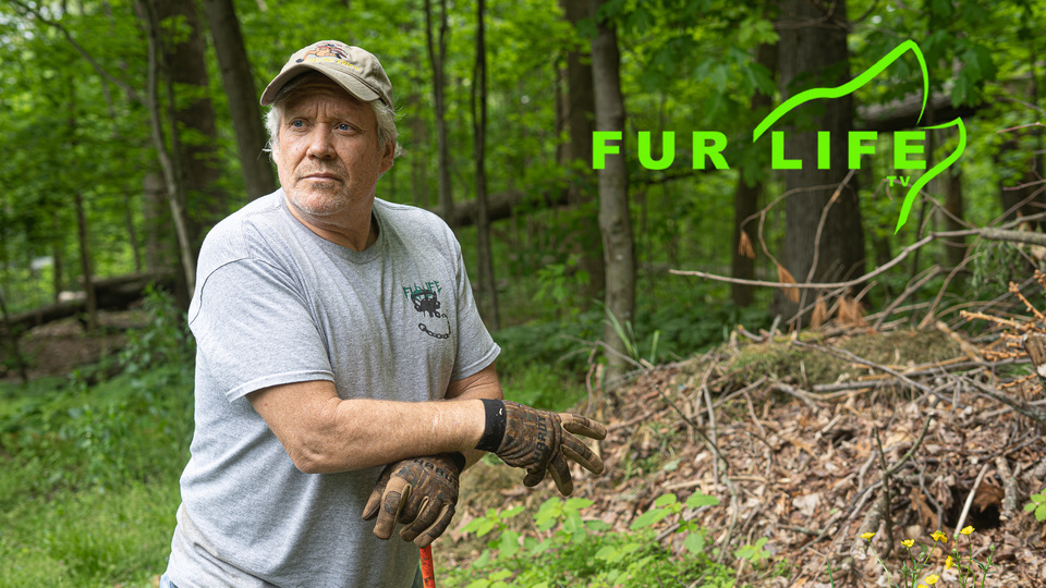 Fur Life